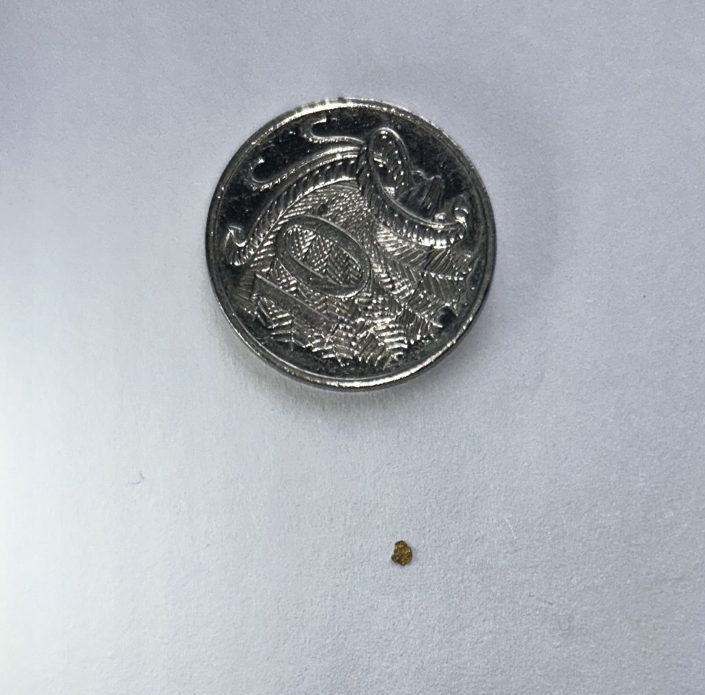 Fleck - comparison with 10c piece