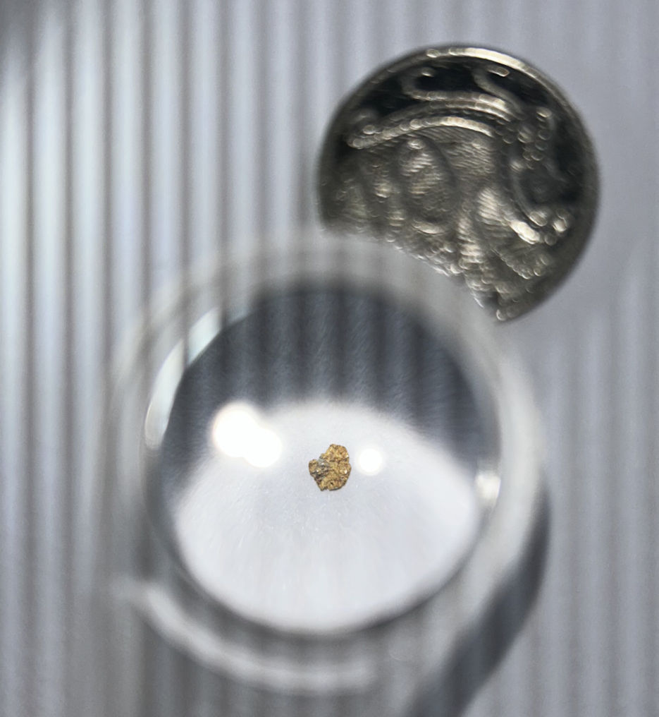 Fleck - magnified with 3x and 5x loupe