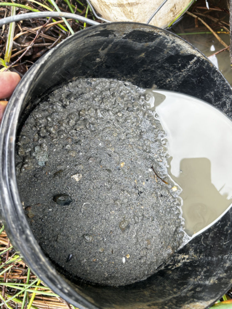 Site 1 - 10 litre bucket sampling size, before final classification